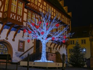 Abendlicher Lichterspaziergang in Hanau bis 6. Januar: Vom Einhorn am Marktplatz zum Wintergold am Schlossplatz