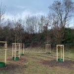 Bürgerwäldchen in Großauheim eingeweiht: Spender finanzieren hitzeresistente Bäume