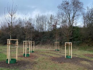 Bürgerwäldchen in Großauheim eingeweiht: Spender finanzieren hitzeresistente Bäume