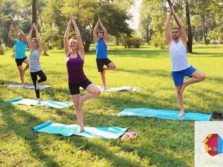 Eltville: Vier kostenlose Yogaeinheiten im Stadtpark im Juni