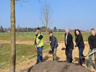 Grüne Mitte für Bierstadt Nord: 83 Bäume und Spielbereiche geplant
