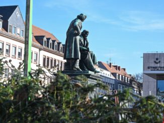 Hanau sammelt Weihnachtsbäume vom 12. bis 16. Januar ein