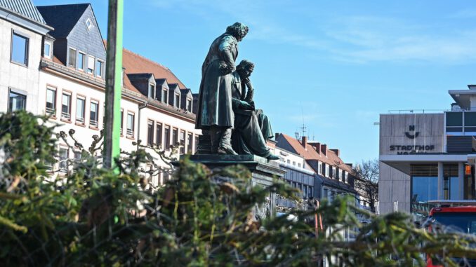 Hanau sammelt Weihnachtsbäume vom 12. bis 16. Januar ein