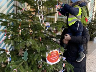 Hanauer Kitas schmücken Innenstadtbäume: Rund 350 Kinder beteiligen sich an Adventsaktion