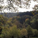 Rauenthal erhält neuen 5,4 Kilometer langen Rundweg mit Aussichtspunkt Maspen