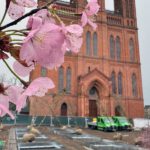 Schlossplatz in Wiesbaden: 24 neue Bäume mit unterirdischer Bewässerung sollen Dauergrün sichern