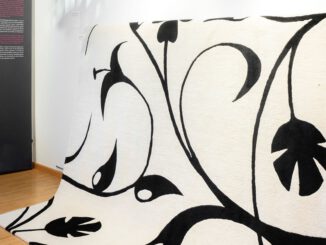 Städtische Museen Hanau stellen Papiertheatermuseum und Hanauer Neustadt vor