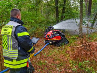 Waldbrand bei Klein-Auheim zerstört 2,5 Hektar: Hanau verschärft Feuerverbote und Kontrollen