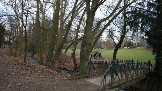 Wiesbaden bewilligt Millionen für Sanierung mehrerer historischer Bachkanäle