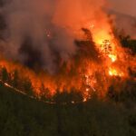 Wiesbaden: Feuerverbot auf städtischen Grillplätzen bleibt in Kraft nach Erhöhung der Waldbrandwarnstufe
