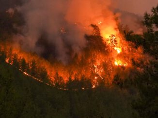 Wiesbaden: Feuerverbot auf städtischen Grillplätzen bleibt in Kraft nach Erhöhung der Waldbrandwarnstufe