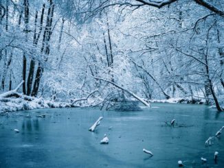 Wiesbaden warnt vor Betreten zugefrorener Gewässer wegen akuter Lebensgefahr