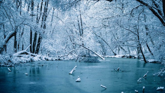 Wiesbaden warnt vor Betreten zugefrorener Gewässer wegen akuter Lebensgefahr