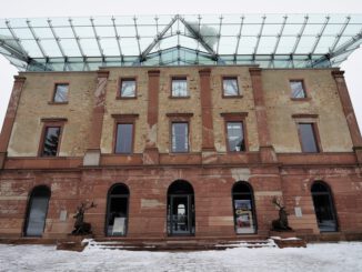 Zertifizierte Nordmanntannen aus Stadtwald werden am Jagdschloss Platte verkauft