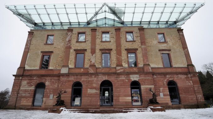 Zertifizierte Nordmanntannen aus Stadtwald werden am Jagdschloss Platte verkauft Zertifizierte Nordmanntannen aus Stadtwald werden am Jagdschloss Platte verkauft